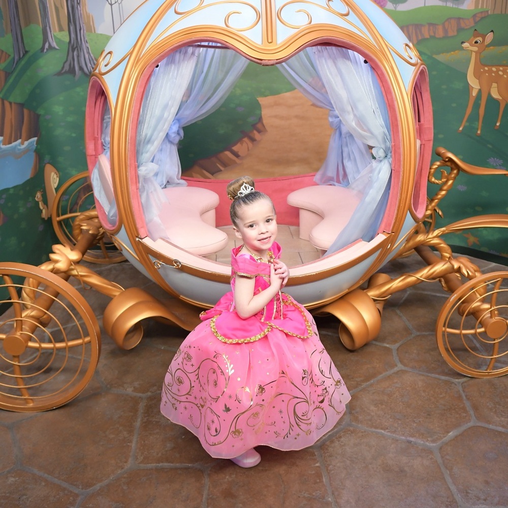 Official Disneyland Bibbidi Bobbidi Boutique Sleeping Beauty Dress